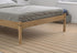 Lisbon Bed Pine